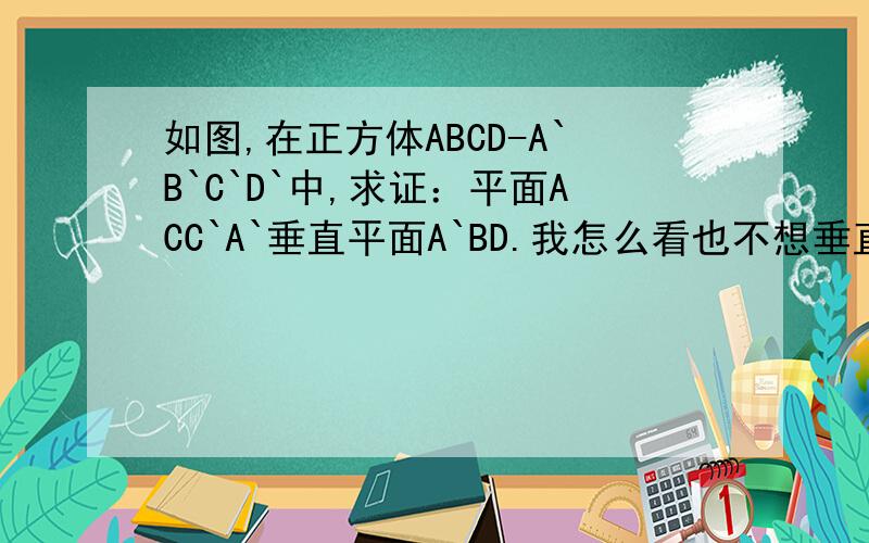 如图,在正方体ABCD-A`B`C`D`中,求证：平面ACC`A`垂直平面A`BD.我怎么看也不想垂直啊