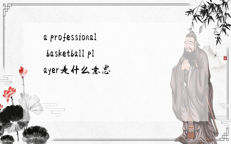 a professional basketball player是什么意思