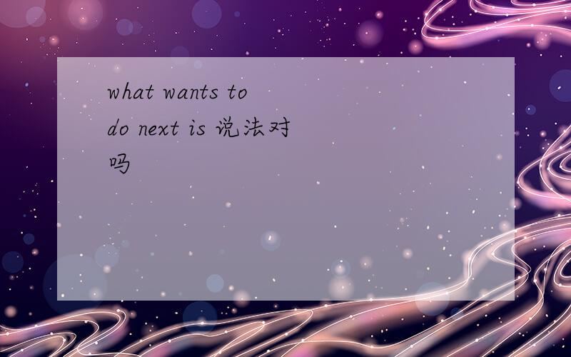 what wants to do next is 说法对吗