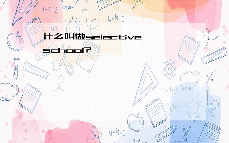 什么叫做selective school?