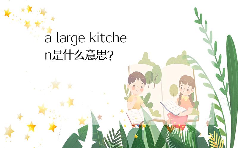 a large kitchen是什么意思?