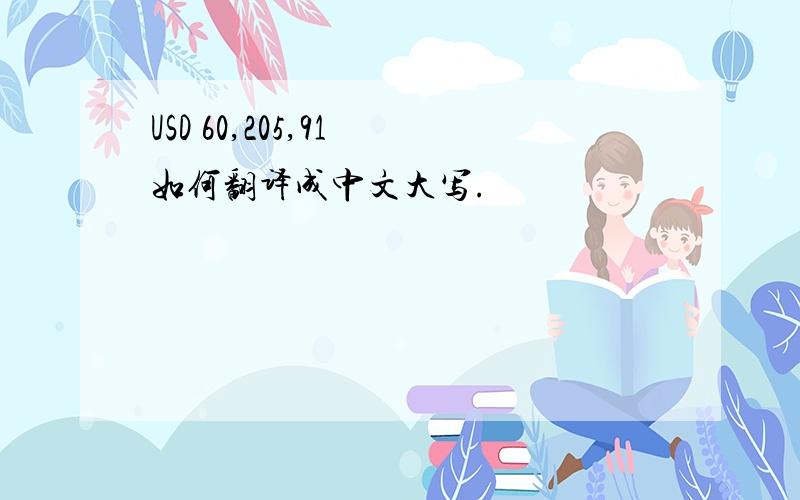 USD 60,205,91 如何翻译成中文大写.