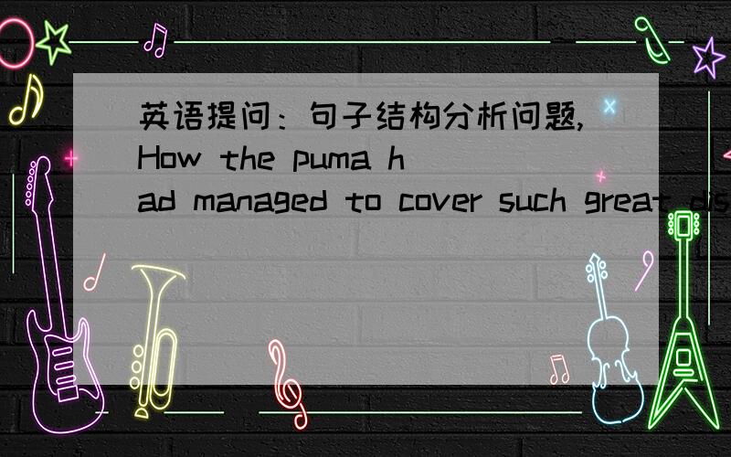 英语提问：句子结构分析问题,How the puma had managed to cover such great distances within a day.句子结构是什么?为什么这里有how却是陈述句?