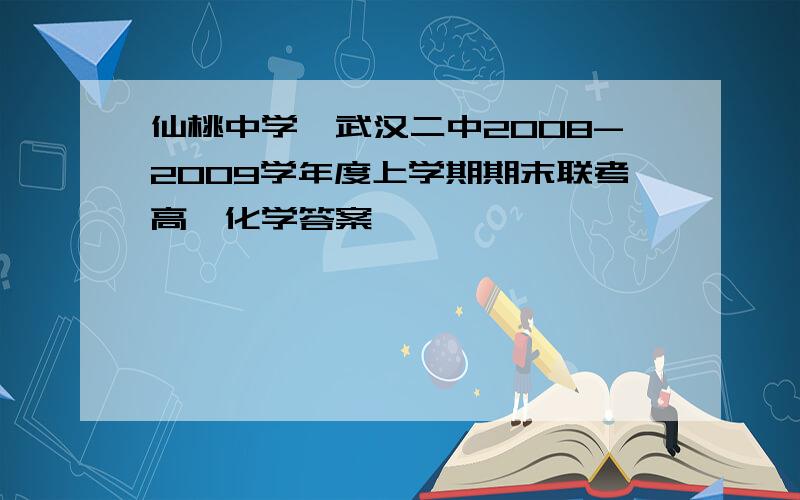 仙桃中学、武汉二中2008-2009学年度上学期期末联考高一化学答案