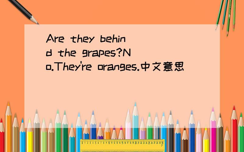 Are they behind the grapes?No.They're oranges.中文意思