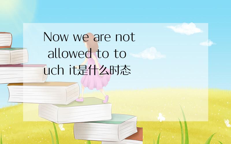 Now we are not allowed to touch it是什么时态
